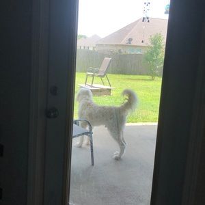 Meet your Posher, Mg